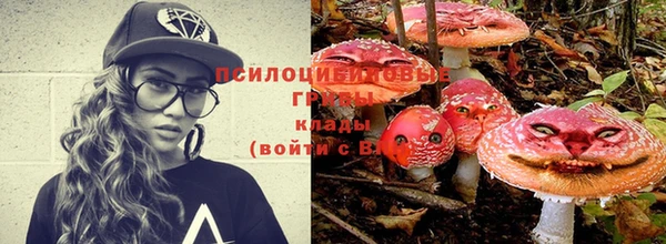 a pvp Армянск