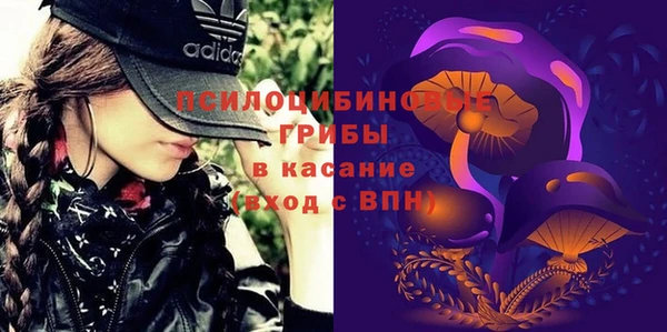 дмт Арсеньев